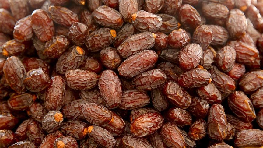 Ağacından çekirdeğine mübarek bir nimet; Hurma