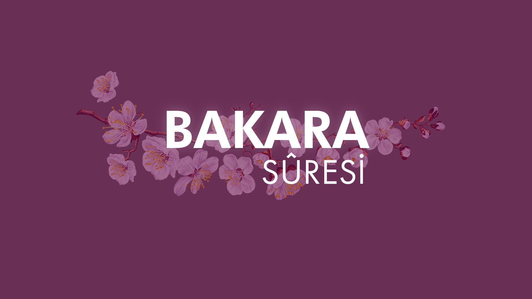 Kur an-ı Kerim in en uzun sûresi, Bakara 