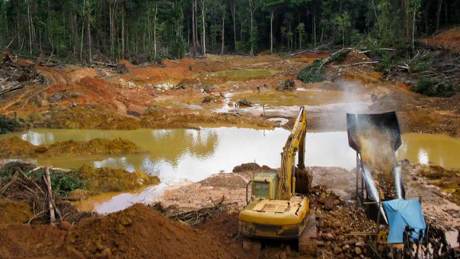 Altın madenleri Amazon’u öldürüyor