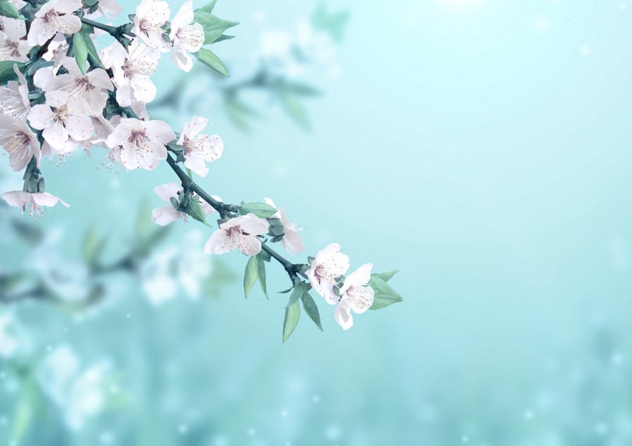 Gerçek sevgiye ulaşmanın yolları