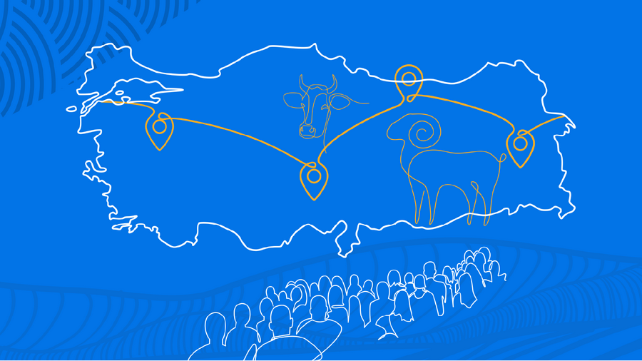 MEC Vakfı 18. Uluslararası Kurban Organizasyonu Başladı