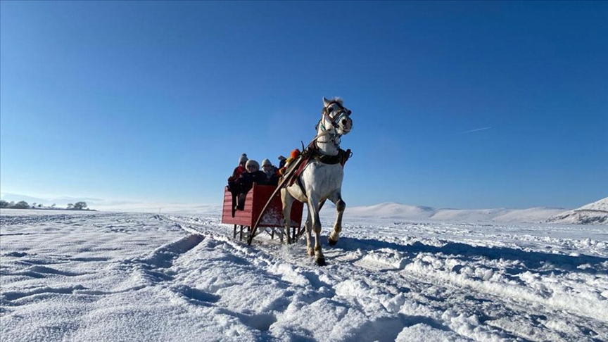 Çıldır Gölü'nde atlı kızak zamanı