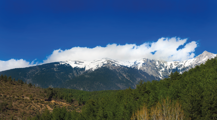 Uludağ a yılın ilk kar taneleri düştü