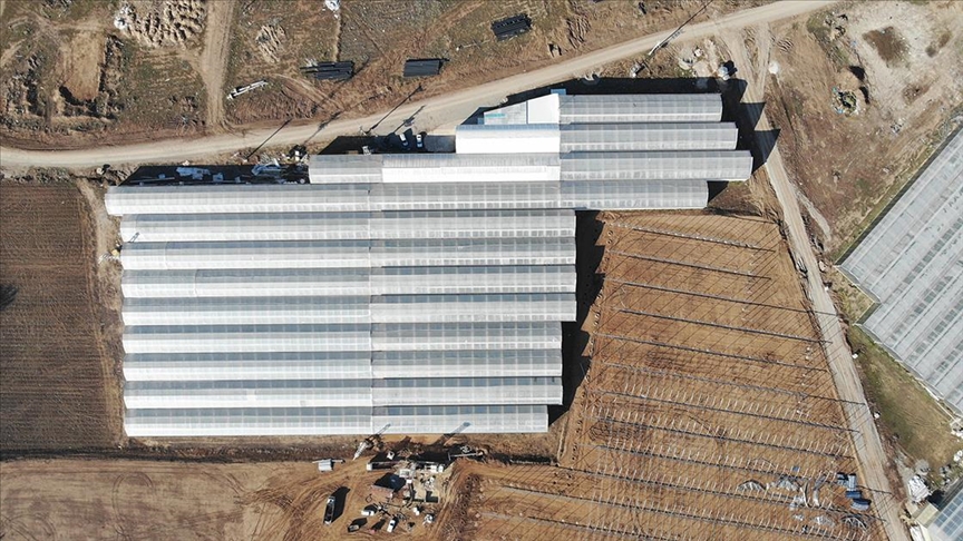 Afyonkarahisar'da jeotermal sera yatırımları artıyor