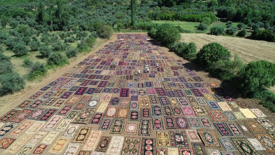 Antalya'da tarlalar yine halılarla renklendi!