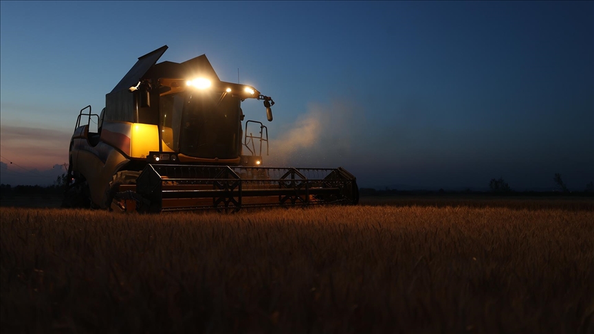 Trakya da buğday hasadı gece yapılıyor