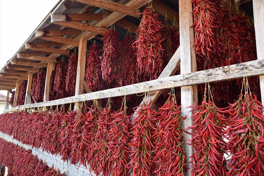 Tescilli biberin üretildiği köyde kurutma mevsimi