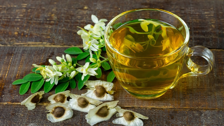 Anadolu’nun şifalı ve lezzetli bitkileri-1