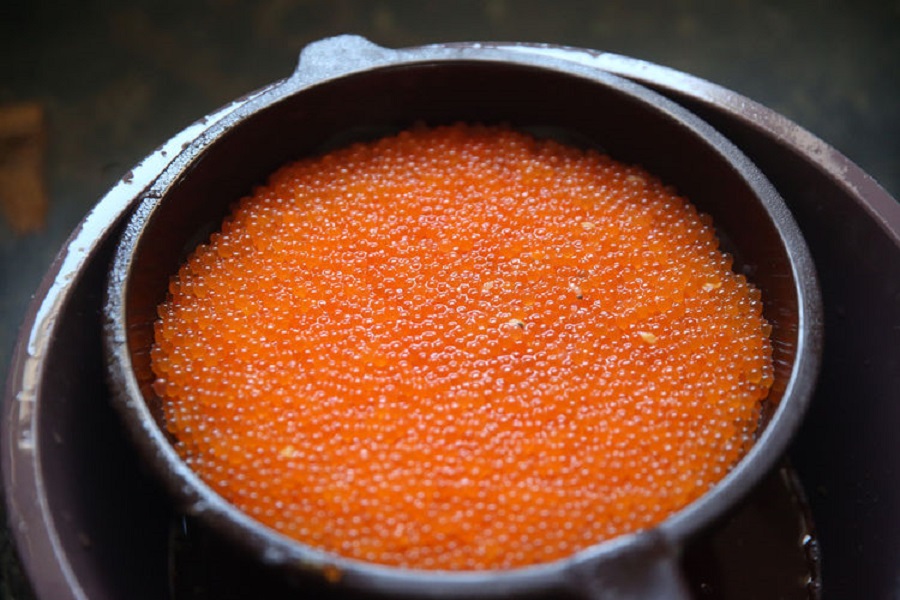 Kayseri'den 30 şehre alabalık yumurtası gönderiliyor