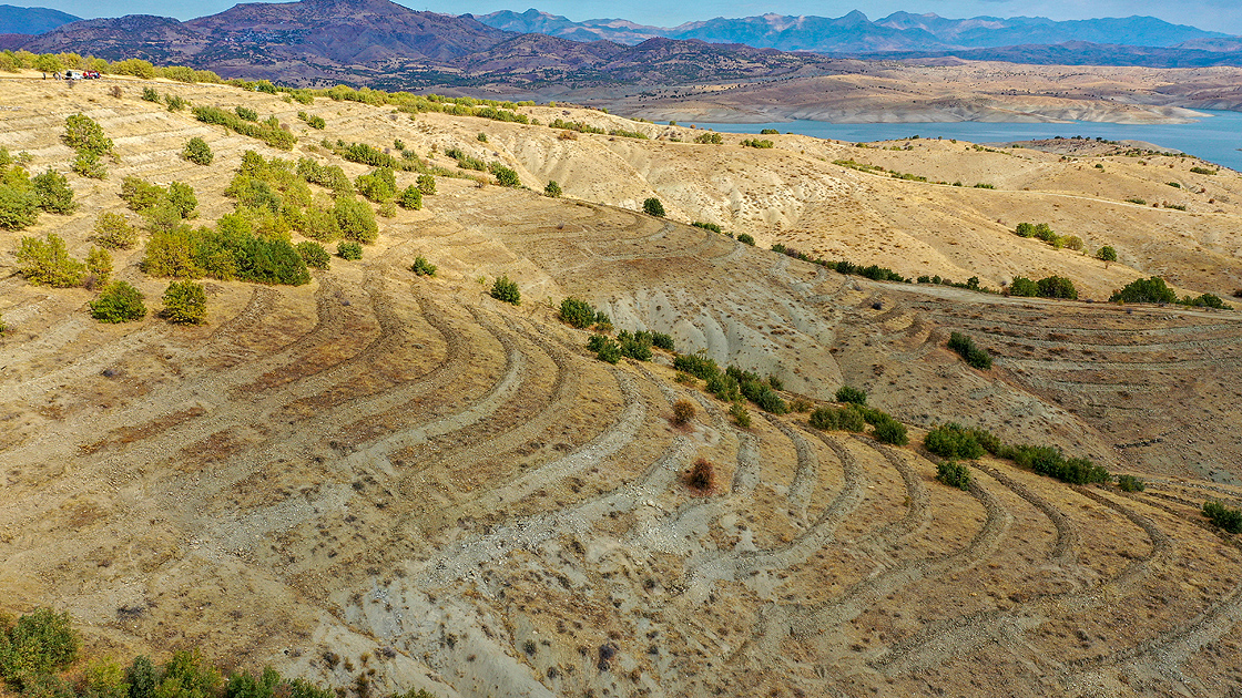 ­Diyarbakır'da kuraklık ve erozyona karşı ağaçlandırma 