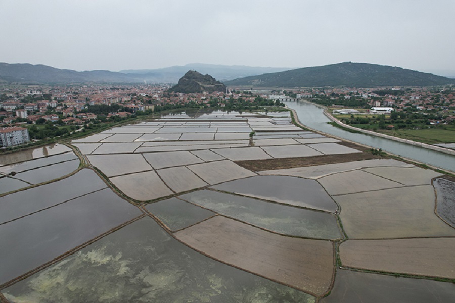 Kızılırmak çevresindeki bereketli topraklarda çeltik mesaisi 